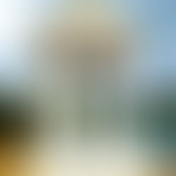 🏛️ Under the Dome